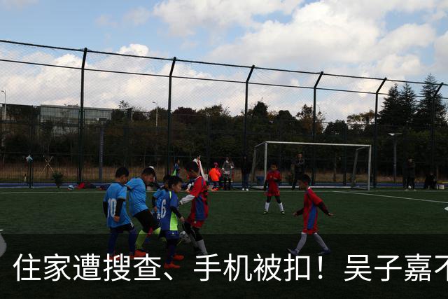 住家遭搜查、手机被扣！吴子嘉不忍了，宣布选后将有大动作