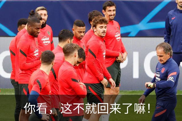 你看，这不就回来了嘛！
