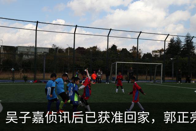 吴子嘉侦讯后已获准回家，郭正亮评析吴子嘉案：遭司法迫害，利好徐欣莹选情