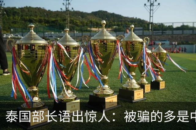 泰国部长语出惊人：被骗的多是中国人，是受害者自己贪心
