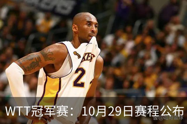 WTT冠军赛：10月29日赛程公布！国乒对决世界冠军，两大主力内战